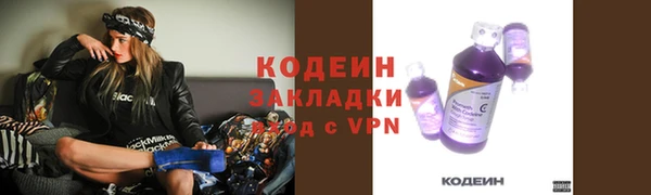 гидра Абаза