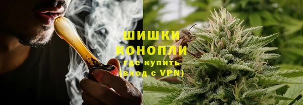 гидра Абаза