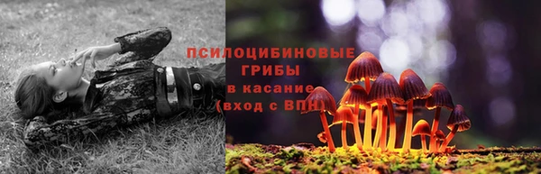 гидра Абаза