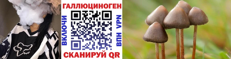 МЕГА как войти  Липецк  Псилоцибиновые грибы Psilocybe 