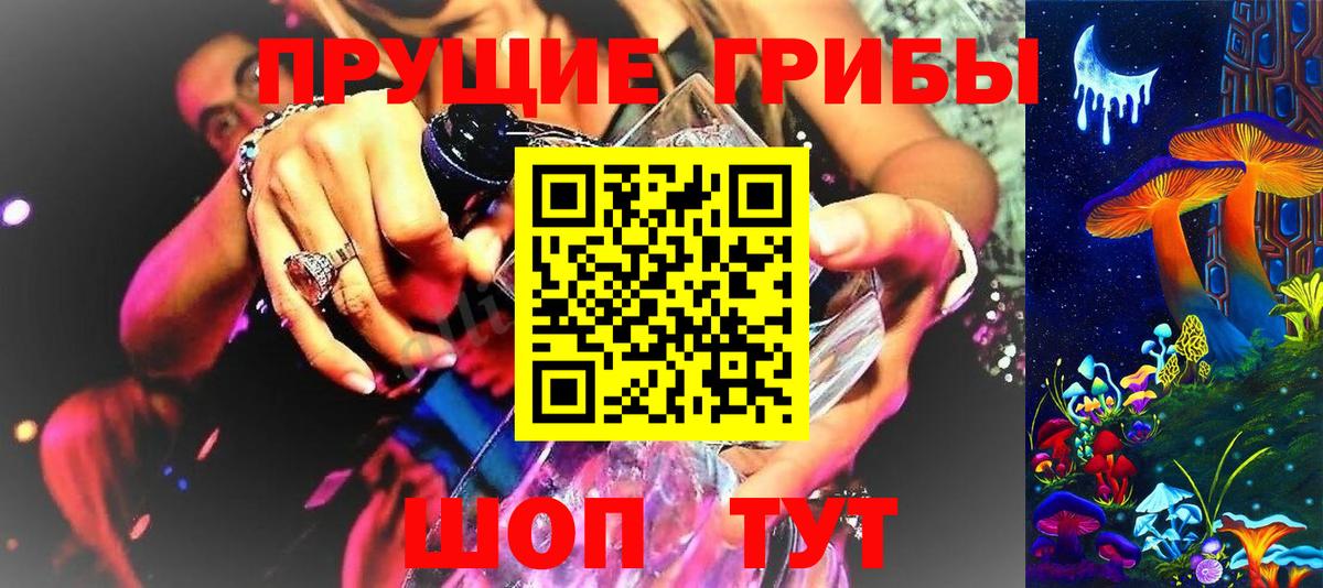 Псилоцибиновые грибы мицелий Липецк