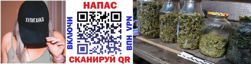 где найти   Липецк  Шишки марихуана тримм 